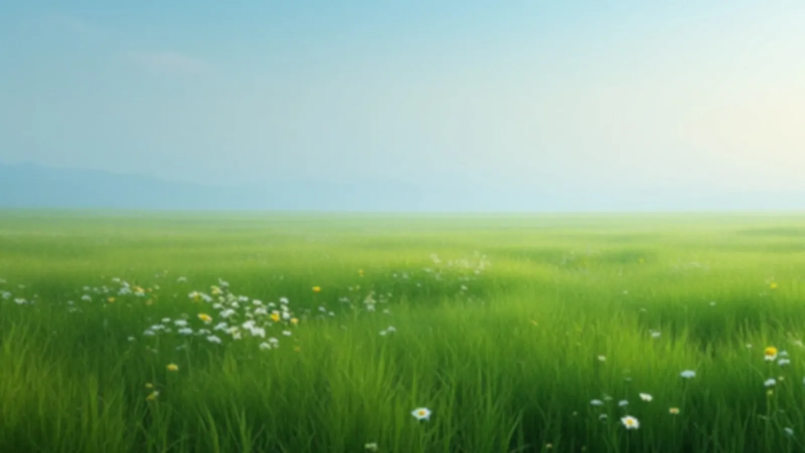 A wide open green meadow with scattered wildflowers under a soft blue morning sky, the FinanceMeadow view of personal loans for unexpected costs, $100 – $5,000
